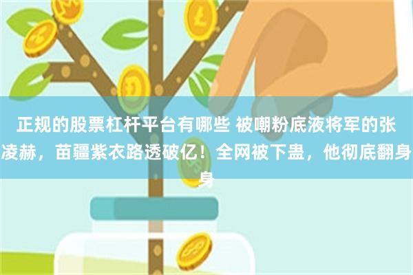 正规的股票杠杆平台有哪些 被嘲粉底液将军的张凌赫，苗疆紫衣路透破亿！全网被下蛊，他彻底翻身