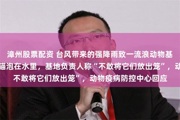 漳州股票配资 台风带来的强降雨致一流浪动物基地被淹,大量小狗小猫泡在水里,基地负责人称“不敢将它们放出笼”,动物疫病防控中心回应