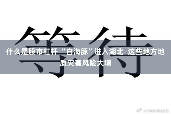 什么是股市杠杆 “白海豚”进入湖北  这些地方地质灾害风险大增