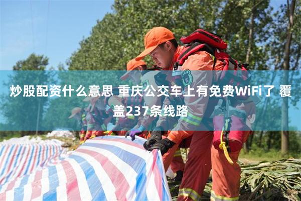 炒股配资什么意思 重庆公交车上有免费WiFi了 覆盖237条线路
