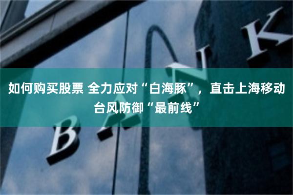 如何购买股票 全力应对“白海豚”,直击上海移动台风防御“最前线”