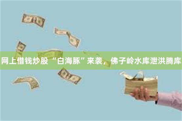 网上借钱炒股 “白海豚”来袭，佛子岭水库泄洪腾库