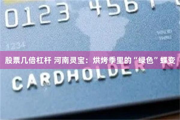 股票几倍杠杆 河南灵宝：烘烤季里的“绿色”蝶变