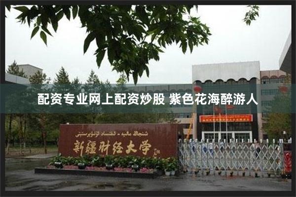 配资专业网上配资炒股 紫色花海醉游人