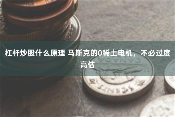 杠杆炒股什么原理 马斯克的0稀土电机，不必过度高估