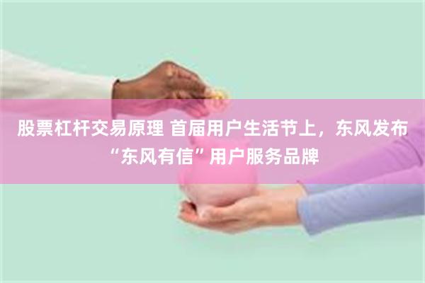 股票杠杆交易原理 首届用户生活节上，东风发布“东风有信”用户服务品牌