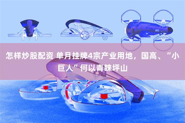 怎样炒股配资 单月挂牌4宗产业用地，国高、“小巨人”何以青睐坪山