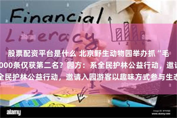 股票配资平台是什么 北京野生动物园举办抓“毛毛虫”大赛，抓大约4000条仅获第二名？园方：系全民护林公益行动，邀请入园游客以趣味方式参与生态保护