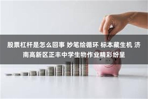 股票杠杆是怎么回事 妙笔绘循环 标本藏生机 济南高新区正丰中学生物作业精彩纷呈