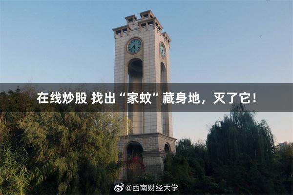 在线炒股 找出“家蚊”藏身地,灭了它!