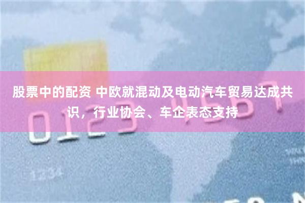 股票中的配资 中欧就混动及电动汽车贸易达成共识，行业协会、车企表态支持